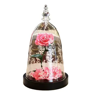 Cadeau de la belle et la bête, fleur préservée, pour la saint-valentin, Rose enchantée, nouvelle collection