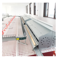 Système d'alimentation automatique en chaîne pour volailles, élevage de poulets, système d'alimentation en chaîne pour poulets de chair et reproducteurs