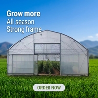 Serre dôme chinoise à faible coût, fabricant de serres agricoles commerciales hivernales, tunnel mono-chapelle en film plastique à vendre
