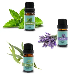 OEM Natural Essential Oil Aromatherapy Top 6 Essential Oils Private Label