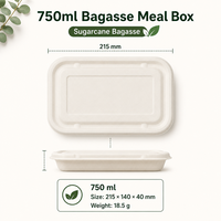 Contenant alimentaire jetable en fibre végétale biodégradable 750ml/1000ml, vente en gros pour riz, pâtes, salades et plats à emporter en restaurant