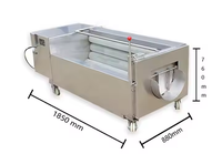 Droge Groente Dragon Fruit Wasmachine Voor Schoonmaak Data Draagt Motoren Restaurants Voor Soja Maïsmeel