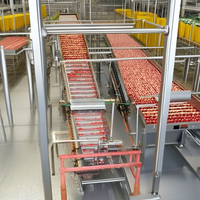 Machine de production de pâte de jus de tomate, ligne de traitement complète