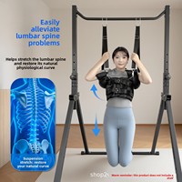 Ceinture de traction lombaire réglable Chin-Up Bar avec double sac, portable, pour scoliose, étirement et maintien de la colonne vertébrale