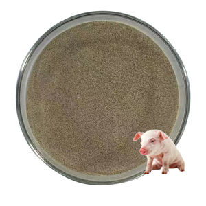 Не биотехнологический штамм K18 Funmicro пробиотик для крупного рогатого скота, биофлоковый пробиотик для рыбоводства - Product Image 1