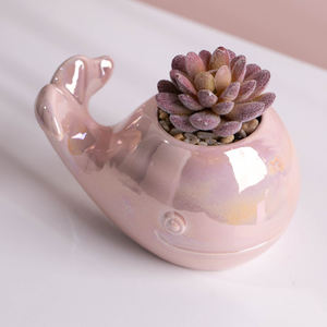 Mini plantes artificielles en <span class=keywords><strong>pot</strong></span>, décoration de bureau, fausses plantes en plastique, <span class=keywords><strong>baleine</strong></span> en céramique, 1 pièce - Product Image 5