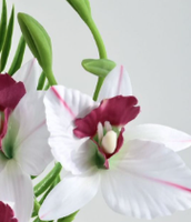 Arrangement en pot d'orchidée Cymbidium artificielle, fausse orchidée, fleur d'hortensia, bonsaï pour la décoration de table à la maison