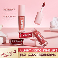 Vente en gros de gloss à lèvres vegan en marque privée, lot de 10 pièces, maquillage beauté, gloss à lèvres imperméable, non collant, rouge à lèvres liquide mat
