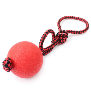 2025 Wholesale Promotional High <b>Bounce</b> TPR Toy Chew Rubber Pet Dog <b>Ball</b> for Dog - Product Image 5