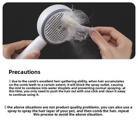 BPlus 2026 Nouvelle Brosse Pulvérisatrice pour Animaux – Outil de Toilettage pour Chat – Massage, Élimination des Poils Volants et Brosse à Aiguilles pour Poils Flottants