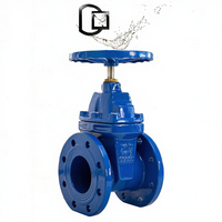 Katup Gerbang Segel Lunak Batang Tidak Naik (Non-Rising Stem) Berflens Manual OEM, Katup Sluice Besi Ulet untuk Saluran Minyak dan Air Industri