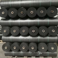 Toile de paillage verte en PP tissé perméable pour l'agriculture
