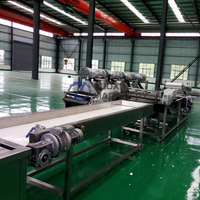 Volledig automatische productielijn voor gefrituurde aardappelchips, machine voor het maken van frieten, productielijn voor diepvriesfrieten, fabriek