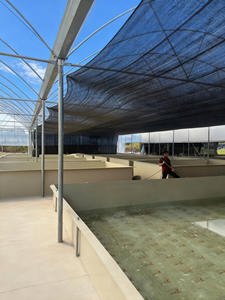 Système d'aquaculture en recirculation YUTANK pour l'élevage de poissons carrés, 6 m x 2 m x 1 m, en PP de qualité alimentaire - Product Image 3