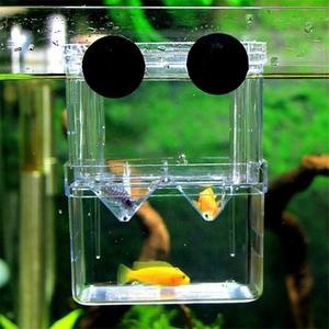 魚フライ孵化場用の環境に優しいプラスチック製の長方形の形をした水族館の魚の繁殖インキュベーター隔離ボックス - Product Image 4