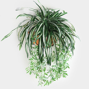 Plante artificielle Miaomiao, plante araignée en soie, verdure suspendue, décoration intérieure, un seul tige, VVD23 - Product Image 5