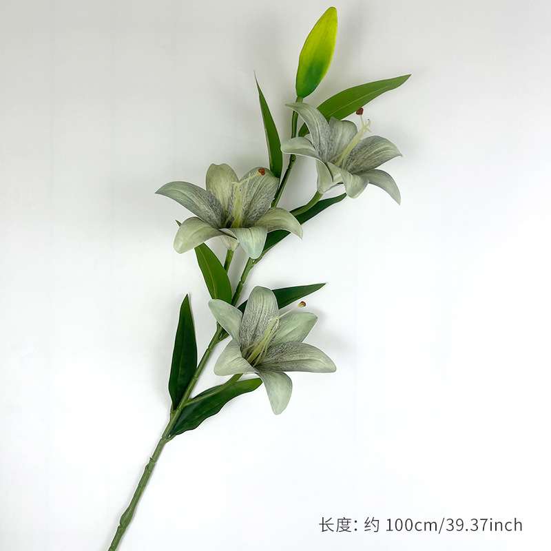 สีเขียวมะกอก