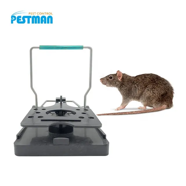 Pestman उच्च गुणवत्ता वाले प्लास्टिक चूहा कीट नियंत्रण के लिए तस्वीर जाल कृंतक माउस जाल