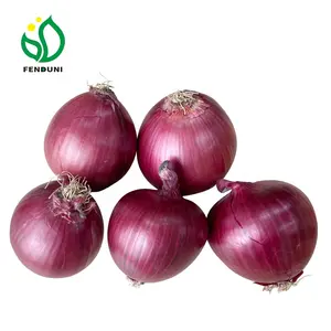 China New Crop Fresh Onion Supplier/Exporters in low price 5-7/6-8cm Packed by 20kg mesh bag