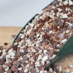 Lava roja premezclada, piedra pómez y turface para cactus y suculentas, mezcla de suelo de árbol de bonsái, aditivo inorgánico de grano medio - Product Image 2