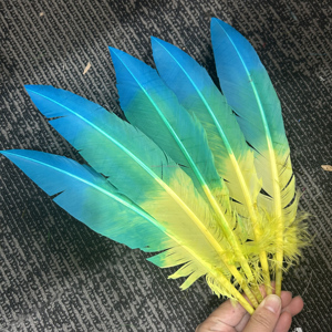 Plumas de Pavo <span class=keywords><strong>Nandu</strong></span> Teñidas en Dos Tonos al por Mayor para Accesorios de Mochilas y Plumas de Lujo para Carnaval - Product Image 1