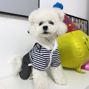 Striped Dog <b>Overalls</b> Cotton-Padded Clothes For Small Breeds Autumn <b>Winter</b> Wear Cute Comfortable Pet Apparel - Product Image 3