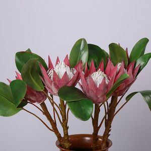Fleur artificielle réaliste en tissu <span class=keywords><strong>de</strong></span> type King Protea, tige <span class=keywords><strong>de</strong></span> fleur tropicale pour décoration <span class=keywords><strong>de</strong></span> vase <span class=keywords><strong>de</strong></span> salon, événements et bouquets <span class=keywords><strong>de</strong></span> <span class=keywords><strong>mariée</strong></span> - Product Image 3