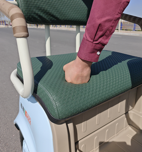 จักรยานสามล้อไฟฟ้า3ล้อจักรยานไฟฟ้ามีหลังคารถสามล้อไฟฟ้า - Product Image 6