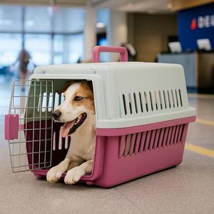 Transportín para mascotas para gatos y perros, 3 tamaños disponibles, 6 colores a elegir - Product Image 4