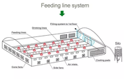 Cages d'élevage de volaille pour élevage de poules, 2 pièces, équipement, système de prix, broyeur automatique, batterie de poulet
