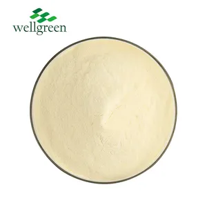 Wellgreen Factory Food Grade Cosmetic 200 Mesh Industrial Thickener Supplier Xanthan Gum Powder