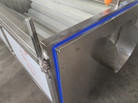 Brosse industrielle Type Rouleau Oignon Et Racine Manioc Carotte Gingembre Frais Laveuse De Pommes De Terre Éplucheur Lavage Machine À Éplucher prix