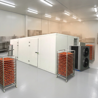 Intelligent besturingssysteem fruitdroger, machine voor het drogen van gesneden tomaten, appeldroger te koop