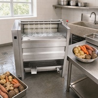 Automatische borstelrol groentewasmachine van 304 roestvrij staal voor aardappel, gember, wortel, zoete aardappel en wortelgroenten.