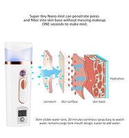 OEM portátil LED nebulizador cuerpo facial vaporizador ABS iónico 30ml Nano rociador de niebla para la belleza uso doméstico alimentado por batería
