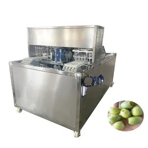 Machine automatique d'extraction de graines d'olivier frais aux états-unis