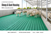 Plancher à lattes en PRV à largeur de joint personnalisée pour abri à moutons, bergerie, enclos d'engraissement des agneaux et ferme d'élevage
