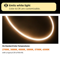 Bande lumineuse LED flexible en PVC étanche IP65 personnalisée Smd2835 10*10 Dc 12v 24v pour l'extérieur, lumières néon flexibles pour les chemins de parc