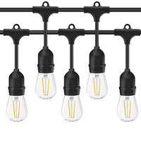 Étanche IP65 S14 Socket LED Guirlande Lumineuse E26/E27 Ampoule à Filament pour Intérieur Extérieur Commercial Party Decor pour les Vacances