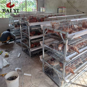 Poulailler en fil galvanisé <span class=keywords><strong>d</strong></span>'<span class=keywords><strong>occasion</strong></span> de type H avec une longue durée de vie pour l'élevage de volailles au Kenya - Product Image 5