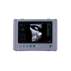 8인치 LCD 의료용 디스플레이 동물 스캐닝 모드 볼록형 어레이 라인 어레이 볼록형 프로브 수의학 초음파 진단 시스템 - Product Image 5