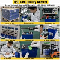 Batería de iones de litio prismática QSO DDP Polonia EU Stock LiFePO4 314Ah 280Ah Celda LFP 314Ah Solar 300Ah 320Ah 3.2V/EVE314/MB31