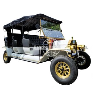 Voiturette de golf électrique vintage personnalisée 8 places, véhicule de resort avec sièges en PU et audio MP3, utilisation tout-terrain - Product Image 3