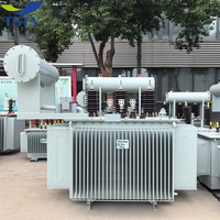 Transformateur de distribution électrique triphasé extérieur TSTY 800KVA 11KV vers 415V, élévateur et abaisseur de tension