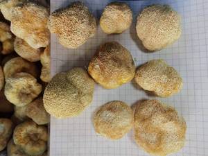 Detan Champignons <span class=keywords><strong>Lion</strong></span>'s Mane séchés comestibles <span class=keywords><strong>de</strong></span> grande qualité - Product Image 6
