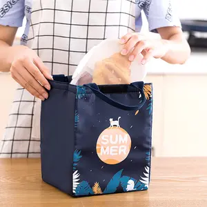 Fiambrera portátil con logotipo personalizado para niños pequeños, bolsa de almuerzo con aislamiento, bolso de transporte