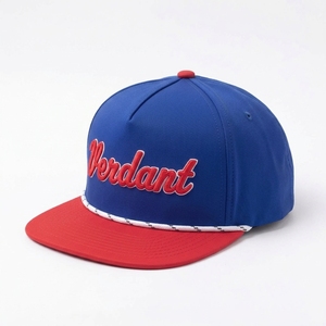 Gorra de Visera Plana de 6 Paneles T&L OEM ODM con Bordado de Chenille, Impermeable, para las Cuatro Estaciones, para Clubes Automovilísticos, Suministro al por Mayor - Product Image 1