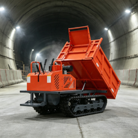 Kompakter Dieselmotor Handgeführter Mini-Raupendumper 2 Tonnen Starke Traktion mit Pumpenlager Hoher Lastmoment für Steinentransport