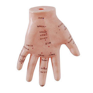 Modelo de Treinamento de Acupuntura Manual Deren <span class=keywords><strong>DRA</strong></span> 13cm PVC Anatômico - Product Image 3