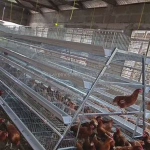 Cage à poules à 3 niveaux et 4 portes, prix bas, élevage avicole de 96 à 160 œufs avec des cages à batterie de type 4 niveaux au Nigéria - Product Image 6